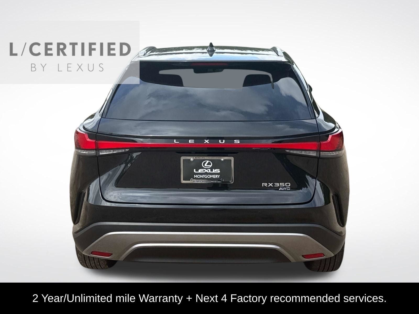 2025 Lexus RX — detail view