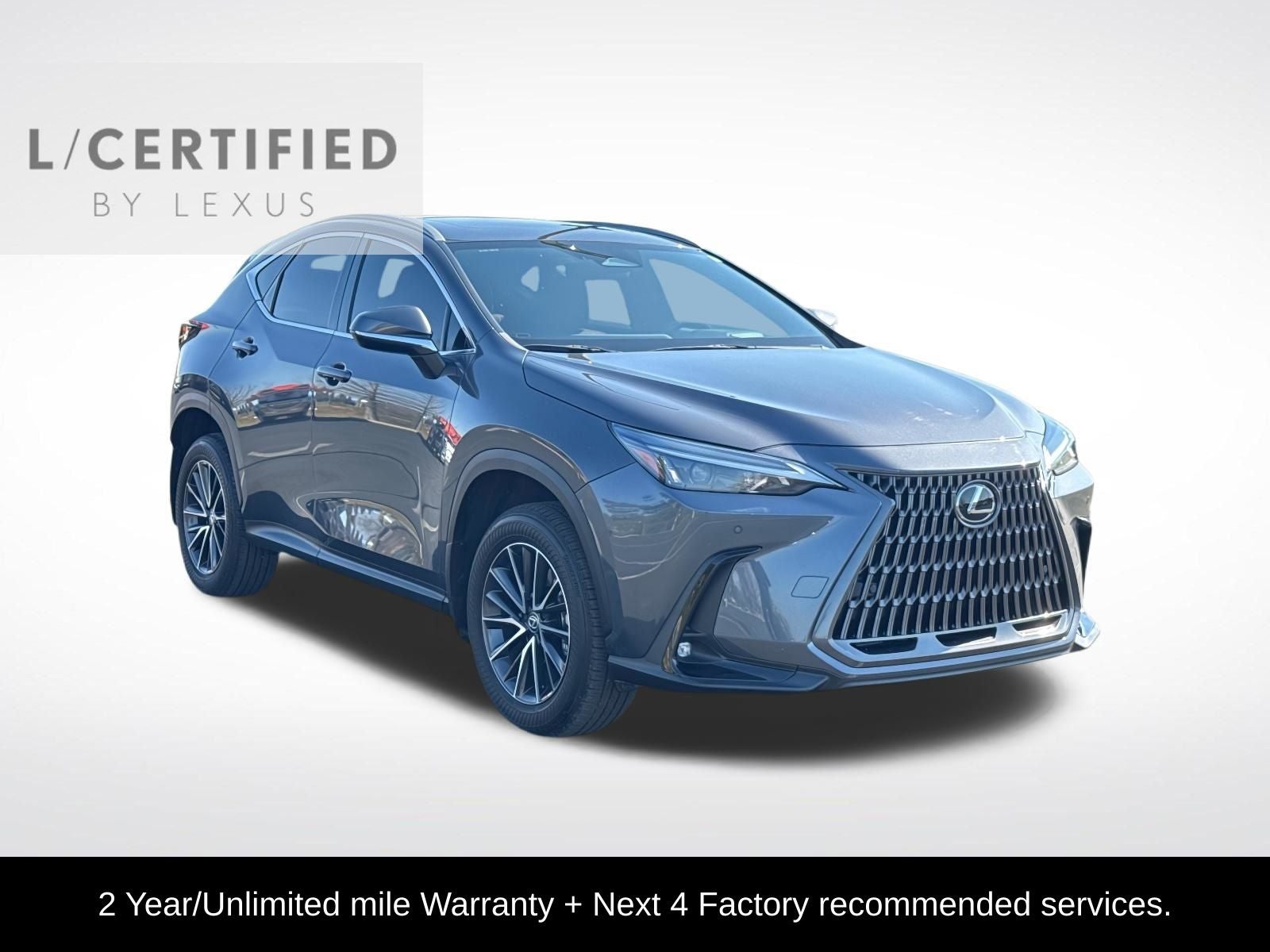 2024 Lexus NX 350 Premium in Cloudburst Gray — front three-quarter view