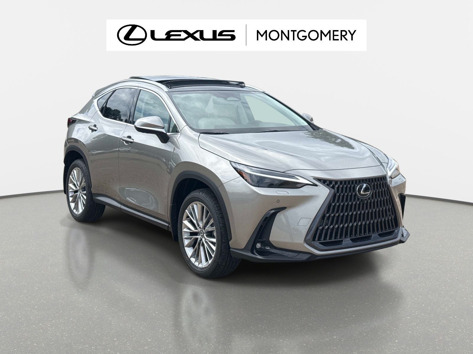 2026 Lexus NX 350 Luxury in Silver — front three-quarter view